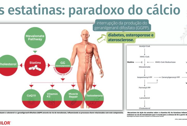 As Estatinas: o paradoxo do cálcio!
