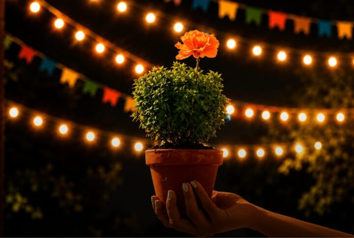 Aproveitar os Santos Populares do início ao fim