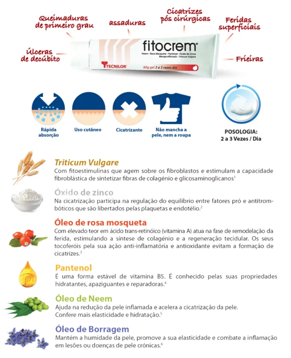 Regresso à rotina - Fitocream- Newsletter Tecnilor